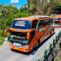 印尼巴士车(Bus Telolet Basuri Indonesia)