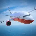 飞行模拟器(Flight Sim)
